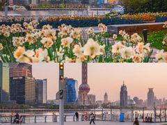 -北外滩滨江绿地