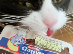 -萌兽医馆·犬猫专科·眼科中心·宠物医院(朝阳门分院)