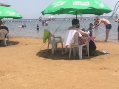 -碧海金沙
