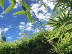 -珠海长隆海洋王国