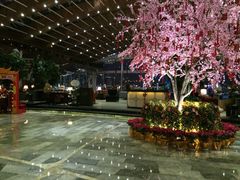 iphone_upload_pic-苏州金鸡湖中茵皇冠假日酒店