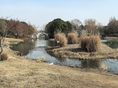 -尚贤河湿地