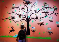 -酷嗒动物文化乐园(cutezoo西溪乐天城店)