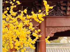 -钱王祠