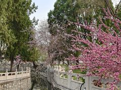 -莲池书院博物馆