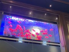 -臻享养生·SPA·影院式足道(汇臻店)