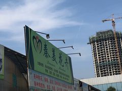 -秦美花卉(天朗·莱茵小城2期店)