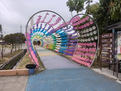 -广东花都香草世界旅游度假区