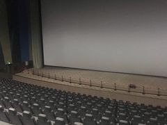 -天幕新彩云国际影城(激光巨幕店)