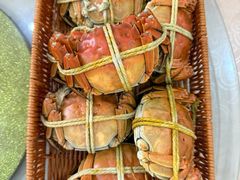 -乡乐园蟹庄·阳澄湖农家乐