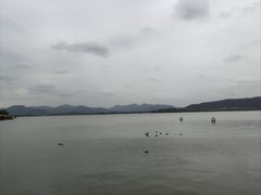 -西湖外事游船(湖滨二公园外事游船码头)