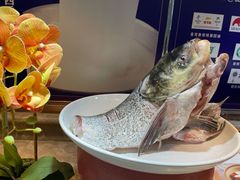 花鲢鱼头-四季厨房 鲁菜·孔府烤鸭(二环南路店)