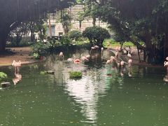 -九龙公园