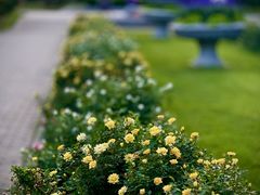 -国家植物园南园