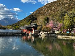 -黑龙潭公园