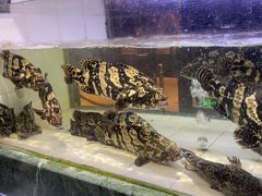 -徐记海鲜(阿波罗店)