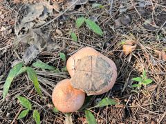 -北京宽沟会议中心