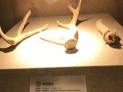 -南越王博物院(王宫展区)