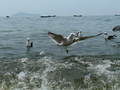 -银沙滩浴场
