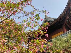 -龙华寺