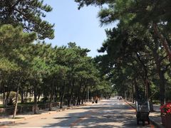 -东北大学(南湖校区)