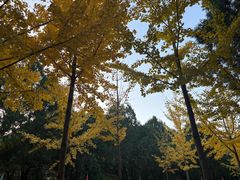 -四门塔风景区
