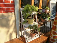 -长颈鹿咖啡(大学路店)