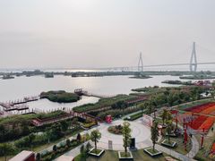 -芒洲湿地公园