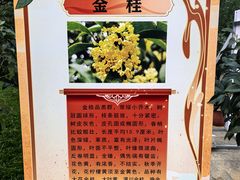 -北京市劳动人民文化宫(太庙)