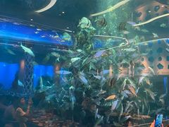 -瑞德姆美人鱼海底演艺主题餐厅(亚龙湾店)