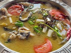 -贡椒鱼老店·雅安十大名店