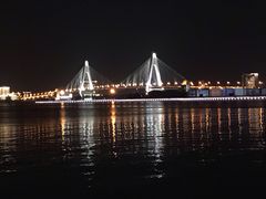 -万绿园
