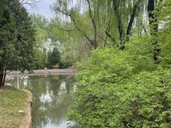 -北京动物园-畅观楼