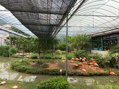 -无锡动物园·太湖欢乐园