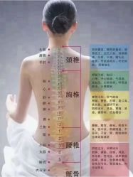 -香薇妮丝·定制减肥·身材管理