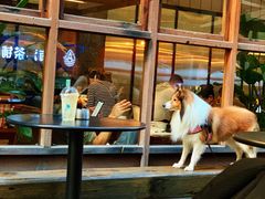 -VESH COFFEE(定西路店)