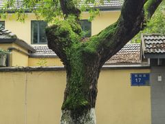 -颐和路民国时期公馆风貌区