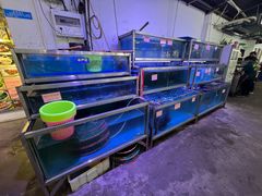 -八仔大富楼·河鲜(西江店)