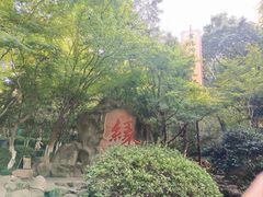 -杭州黄龙洞