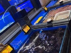 -万宝海鲜舫(劳动公园店)