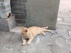 -大钟寺古钟博物馆