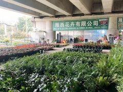 -三圣花乡旅游区