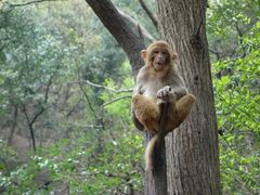 -黔灵山公园-南门售票处