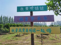 -前小桔亲子创意农场·草莓采摘·露营烧烤