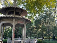 -玲珑塔公园