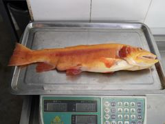 -玉水寨丽江源餐厅