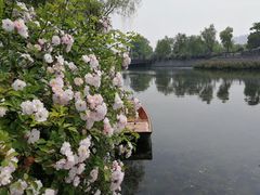 -尚贤河湿地