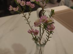 -伯顿西餐厅(平湖店)