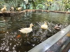 -上海大自然野生昆虫馆(东方明珠·爬宠昆虫探索中心)
