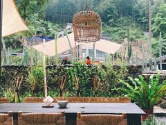 -MOJ coffee(瓯海泽雅水碓坑店)